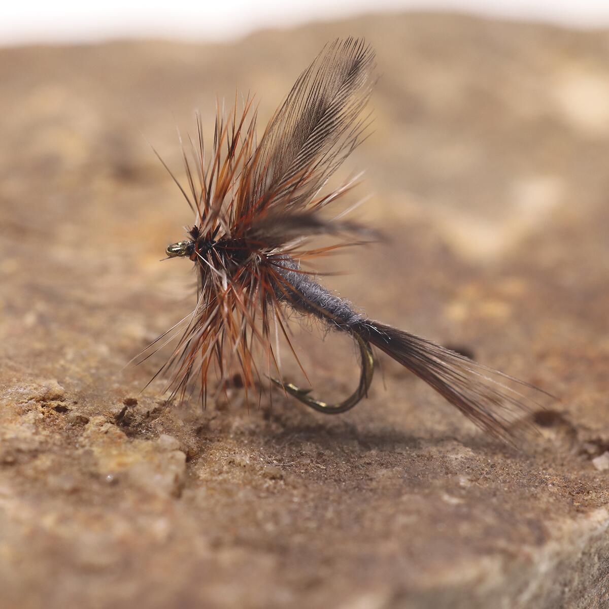 Adams Dry Fly – The Timeless Classic for Trout Fishing