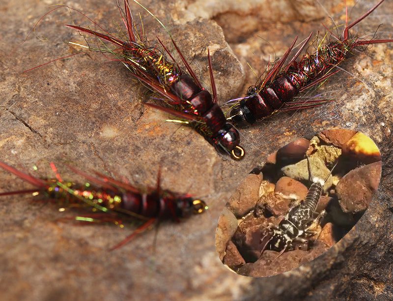 Stonefly Nymph – The Ultimate Realistic Fly for Trout and Panfish