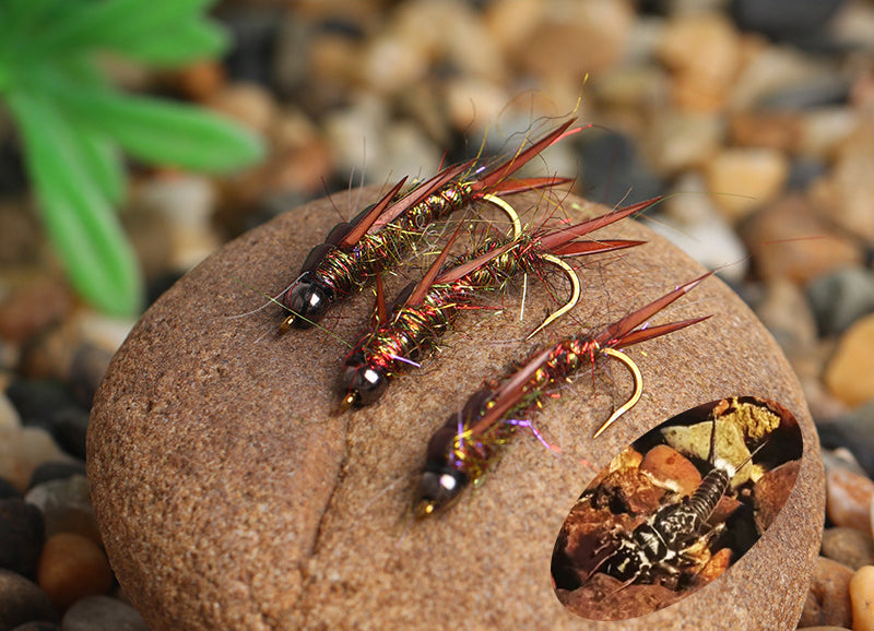 Stonefly Nymph – The Ultimate Realistic Fly for Trout and Panfish